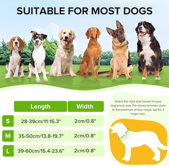 Light Up Dog Collar, Adjustable USB Rechargeable Glow in Dark Dog Collar ，Waterproof Dog Collars for Small Dogs (Green, Small)