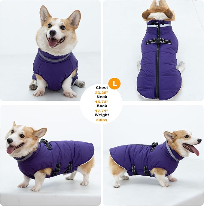 Dog Coat with Harness Built-in, Waterproof Reflective Fleece Lined - Warm Windproof Winter Jacket with Back Zipper, Cold Weather Snow Dog Coats - Purple - L