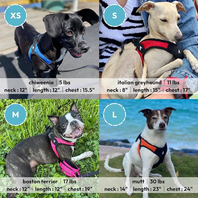 Gooby Escape Free Easy Fit Harness - Black, Large - No Pull Step-in Patented Small Dog Harness with Quick Release Buckle - Perfect On The Go No Pull Harness for Small Dogs or Medium Dog Harness