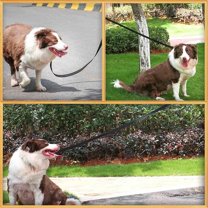 AMAGOOD 6 FT Puppy/Dog Leash, Strong and Durable Traditional Style Leash with Easy to Use Collar Hook, Great for Small, Medium and Large Dogs (3/4 in x 6 ft, Black and Green (2-Pack))