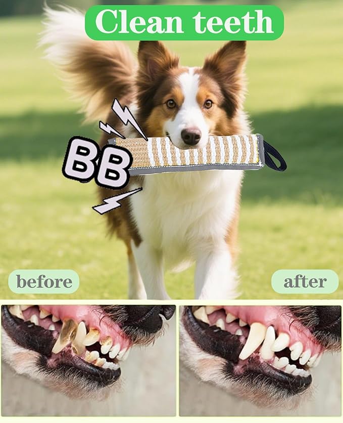 Clysoru Tug Toy for Dogs Squeaky Toy with 2 Strong Handles Lasting Training Equipment Puppy to Large Dog Interactive Toys of War Pull Indestructible Rope Pet Crinkle Teething (Gray)