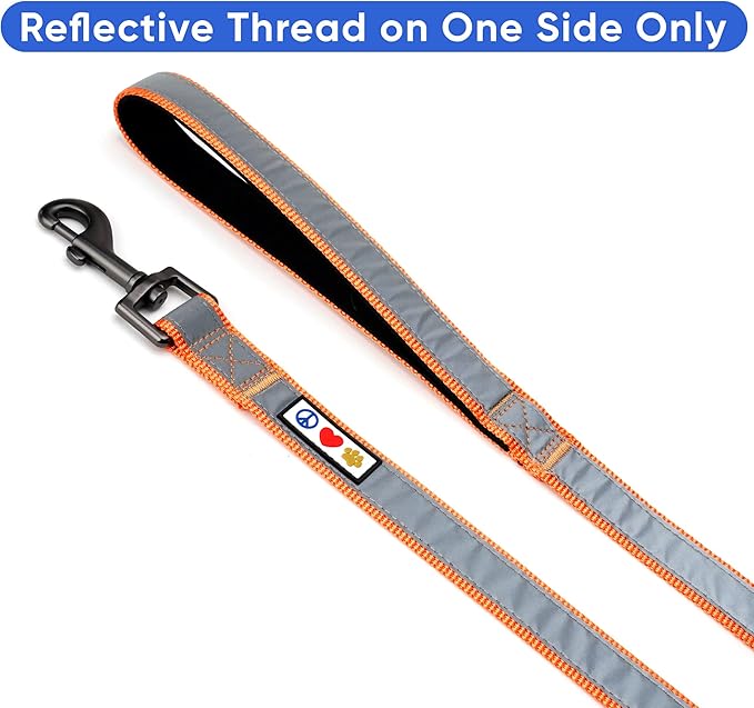 Pawtitas 6 FT Padded Dog Leash with Comfortable Neoprene Padding Handle - Orange Lead | Medium Reflective Dog Leash with Highly Reflective Band Perfect for Medium and Large Dogs and Puppies.