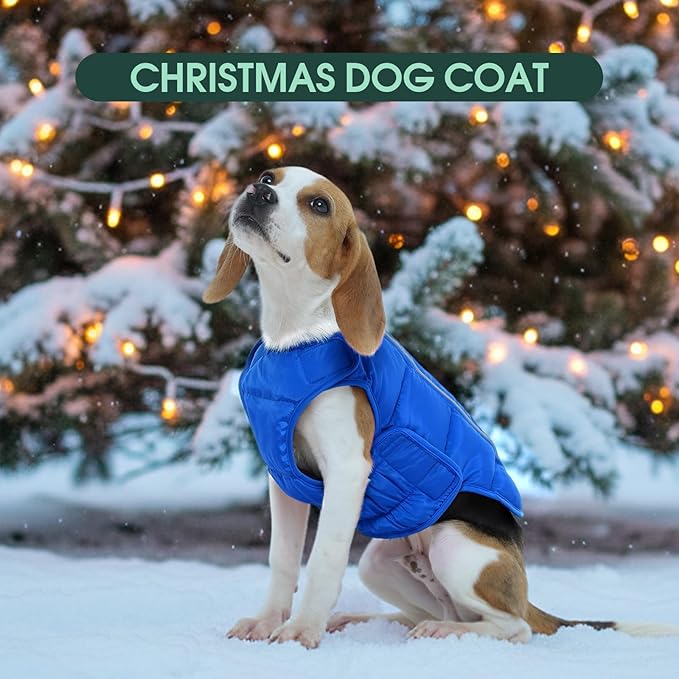 Kuoser Dog Puffer Jacket Warm Dog Coat for Small Dogs, Windproof Reflective Pet Padded Vest Cold Weather Clothes Puppy Snowsuit with Hook & Loop Coats, Easy On/Off, Blue S
