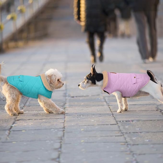 Dog Winter Jacket for Extra-Large Dogs, Pet Windproof Cold Weather Coats, Pets Clothes Snow Jacket, Golden Retriever, Labrador Retriever, Husky, Lilac XL