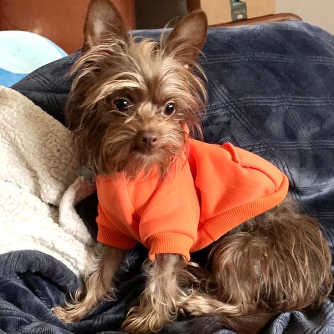 Jecikelon Winter Dog Hoodie Sweatshirts with Pockets Warm Dog Clothes for Small Dogs Chihuahua Coat Clothing Puppy Cat Custume (Orange, Small)