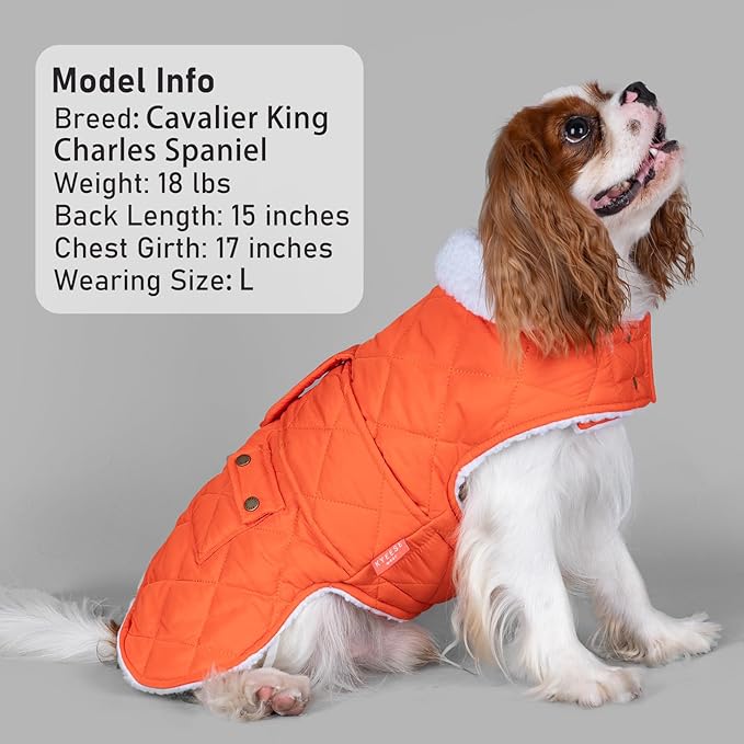 KYEESE Dog Coat Windproof Dog Coats for Small Dogs Thick Cat Clothes with Pocket Waterproof Dogs Jacket with Fleece Lined Warm Pet Winter Puffer Coat with Leash Hole Soft Pet Sweater for Cold Weather