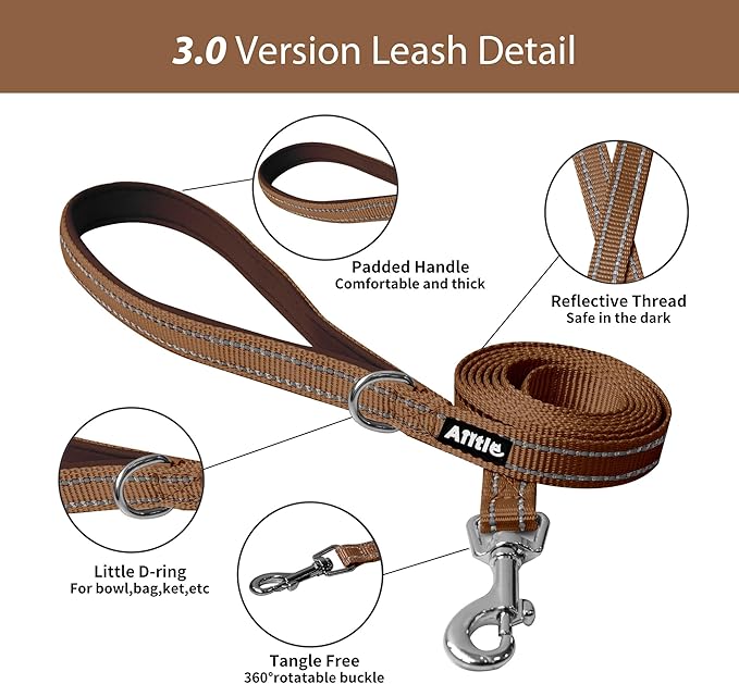 AIITLE Comfortable Dog Harness and Leash Set for Walking - Summer Step in Vest Harness,Reflective Bands, Adjustable No Pull Puppy Essentials, for Small Dogs and House Cats Beige XS