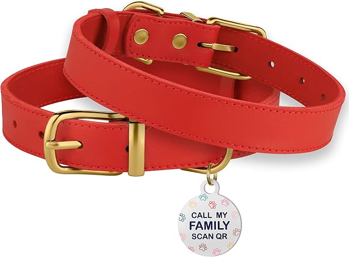 BRONZEDOG Leather Dog Collar with Metal Buckle Durable Basic Pet Collars for Small Medium Large Dogs (14-17 Inch (Pack of 1), Red & Gold Buckle)