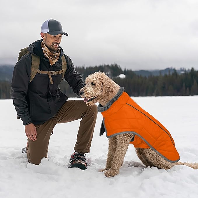 Fragralley Dog Coat Large, Waterproof Dog Jacket with Warm Fleece Lining, Adjustable Reflective Dogs Winter Coat, Turtleneck Pet Coats for Cold Weather (Orange L)