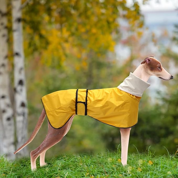 Dog Raincoat with Reflective Bar, Rain/Water Resistant, Adjustable Vest - Dog Raincoats for Greyhounds, Lurchers and Whippets - Yellow - S