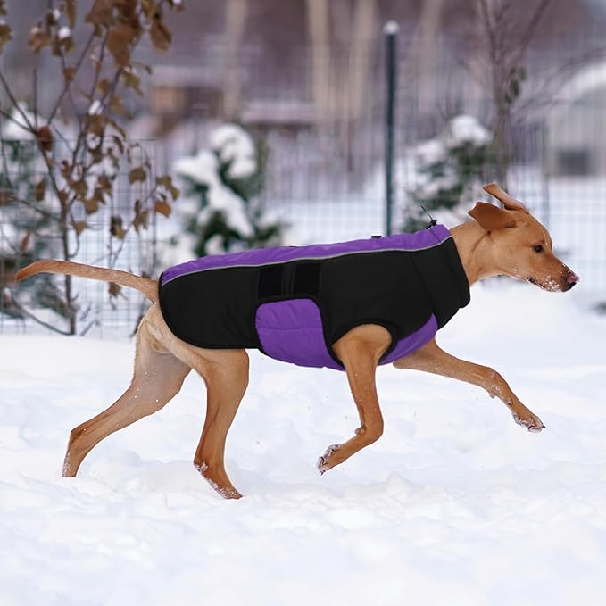 Kuoser XXXL Dog Coat, Dog Jackets for Large Dogs, Reflective Pet Winter Coat Cold Weather Coats, Doggie Snow Jacket Warm Apparel Clothes for Great Dane, Purple XXXL