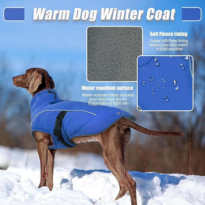 DENTRUN Small Dog Winter Warm Coat - Windproof Cozy Jacket, Thick Fleece Vest with Adjustable Belt, Water Repellent, Reflective Dog Sweater for Yorkie Dachshund Wear, Blue, S