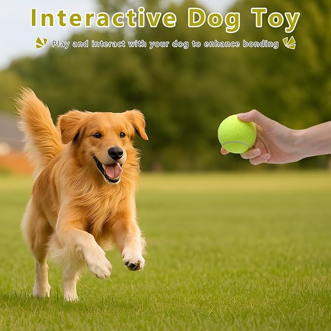 Magicorange Small Tennis Balls, 60 Pack 2 inch Tennis Balls for Dogs, Colorful Easy Catching Pet Dog Playing Ball (Yellow)