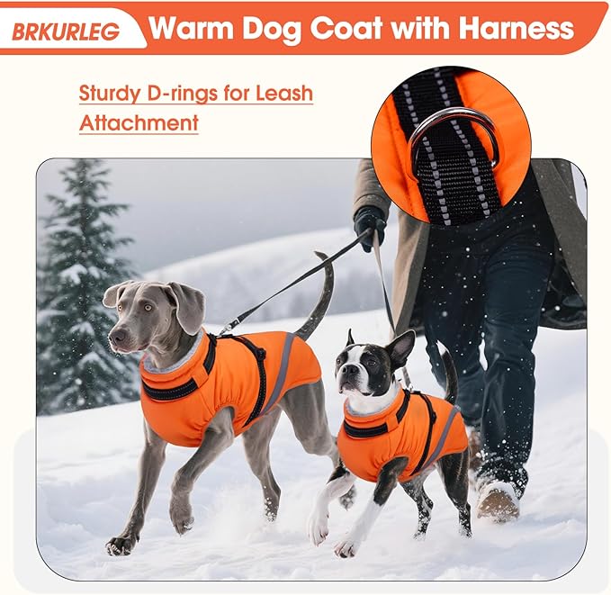 BRKURLEG Dog Winter Jackets for Medium Dogs, Dog Coat with Harness Built in, Dogs Snowsuits with Zipper, Waterproof Windproof Pet Puffer Jacket Fleece Vest for Beagle, Pug, Orange L