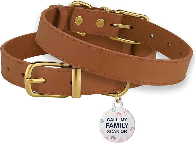 BRONZEDOG Leather Dog Collar with Metal Buckle Durable Basic Pet Collars for Small Medium Large Dogs (13-16 Inch (Pack of 1), Light Brown & Gold Buckle)