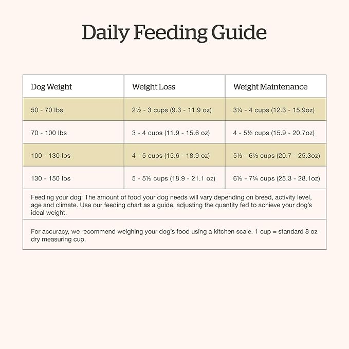 Now Fresh Grain-Free Large Breed Dry Dog Food with Turkey, Salmon & Duck, Premium Kibble for Adults Made with Real Meat & Fish, Chicken-Free, Glucosamine & Chondroitin for Healthy Joints, 12 lb Bag