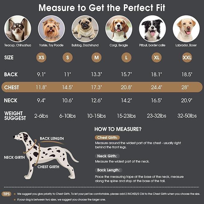 Queenmore Dog Sweaters for Large Dogs, Warm Turtleneck Pullover for Male/Female Pets, Soft Knitwear Sweater for Labradors/German Shepherds, Cold Weather Coat for Large Canine - Grey, Size L