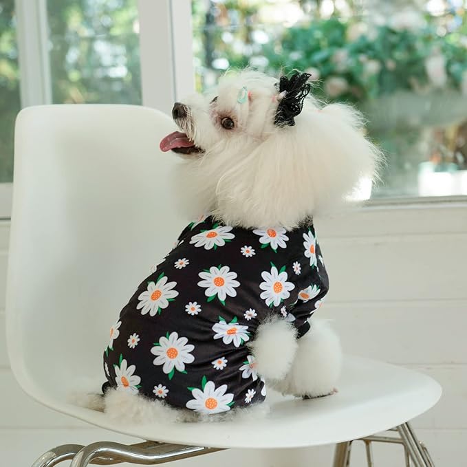 CuteBone Small Dogs Outfit Soft Puppy Onesies Pjs Dog Pajamas Pet Coat Cat Apparel Comfy Doggie Jumpsuit Bodysuit for All Seasons P221XS
