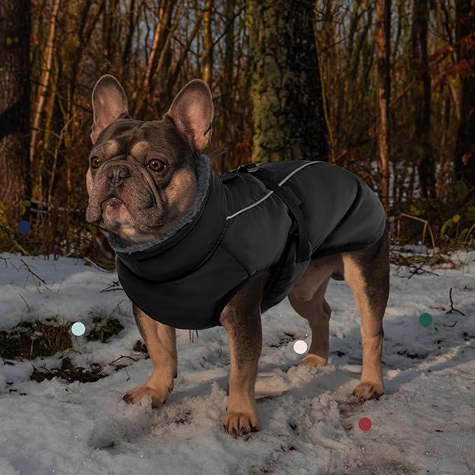 IECOii Extra Warm Dog Coat - Reflective, Adjustable Jacket with Buckle, Fleece Turtleneck for Cold Weather - Soft Winter Coat for Small, Medium, Extra Large Dogs