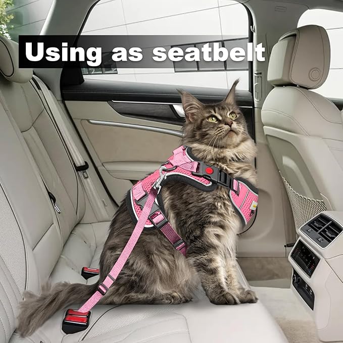 Cat Harness and Leash for Walking, Retractable Cat Harnesses and Leash Set Escape Proof, Breathable Soft Kitten Small Large Harness for Travel Training and Walking, Pink, XXS
