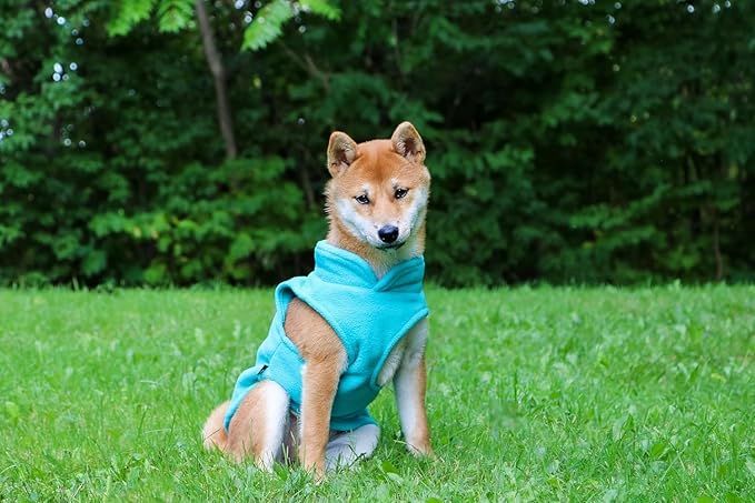 JACKO & CO - Fleece Vest Dog Sweater with Leash Ring - Soft, Warm & Lightweight Pullover Coat for Small & Medium Dogs, Puppies & Cats - Cozy Fall/Winter/Spring Pet Jacket (Turquoise, Medium 6-10lbs)