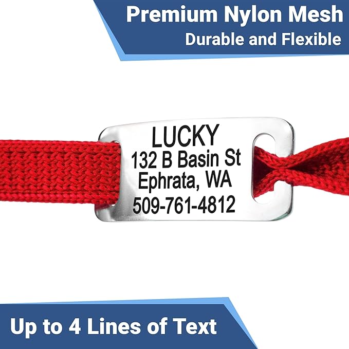 GoTags Reflective Cat Collars with Personalized Tag, Breakaway Collar with Safety Buckle Matching Bell, Engraved Custom with Name and Phone, Adjustable for Cats and Kitten, (Pink with Nameplate)