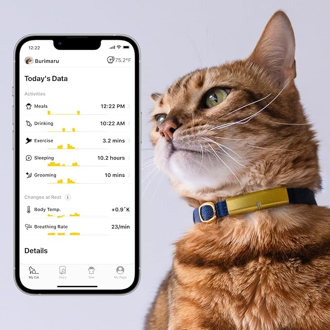 Health Tracker for Cats - Smart Cat Collar with Safety Breakaway Buckle for Indoor Cats, Wellness Alerts, Real-time Monitoring (Charcoal, XS)