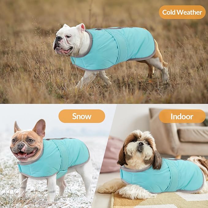 Queenmore Winter Coat, Fleece Puffer Down Vest, Cold Weather Pet Jacket, Waterproof Reflective Reversible Sweater Clothes for Small, Medium and Large Dogs (Light Blue, XS)