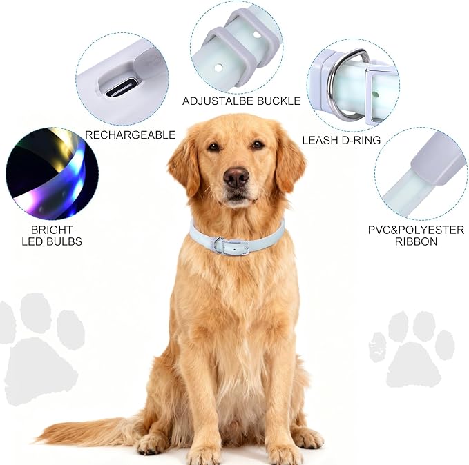 Lighted Dog Collar, Rechargeable Light Up Pet Collar, Waterproof LED Dog Collar Glow in The Dark, Make Pet Visible and Safety for Night Walking for Small Medium Large Dogs (Purple)