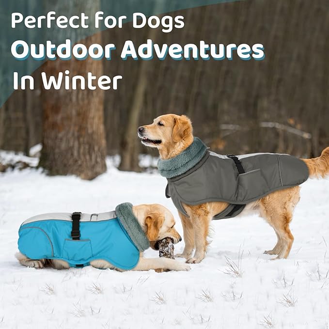 Queenmore Dog Coats for Large Breeds, Dog Snow Jacket, Adjustable Easy On Pet Winter Jackets, Waterproof Cold Weather Pet Coat, Blue, L