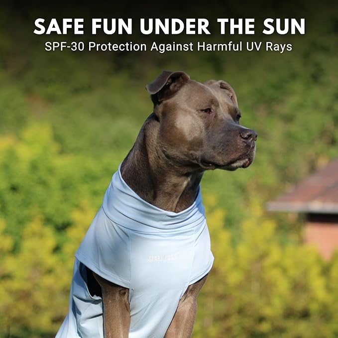 Spark Paws Sunblock Dog T-Shirt, SPF30 Protection, Lightweight Breathable Quick Dry for Dogs with Sensitive Skin - Blue & Mint (Set of 2) - L