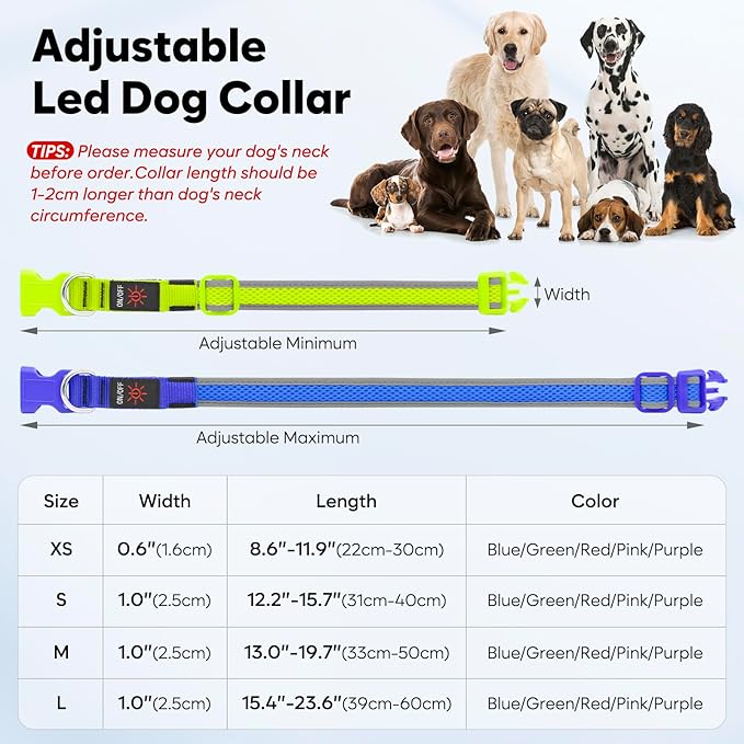 LED Dog Collar, Light Up Dog Collar USB Rechargeable, Brightest Dog Lights for Night Walking, Adjustable Dog Collar Light for Dog Safety (Purple, Medium)