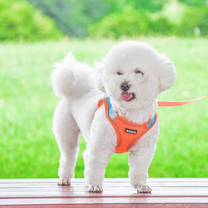 AIITLE Escape Proof Dog Harness - Step in Adjustable Dog Harness No Choke Over with Breathable Mesh and Quick-Release Buckle for Summer- Outdoor Walking, Camping, Training for Medium Dogs Orange XL