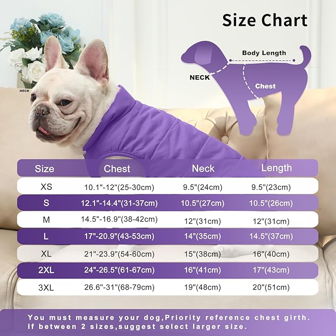 2 Layers Fleece Lined Warm Dog Jacket for Puppy Winter Cold Weather,Soft Windproof Small Dog Coat,Purple S