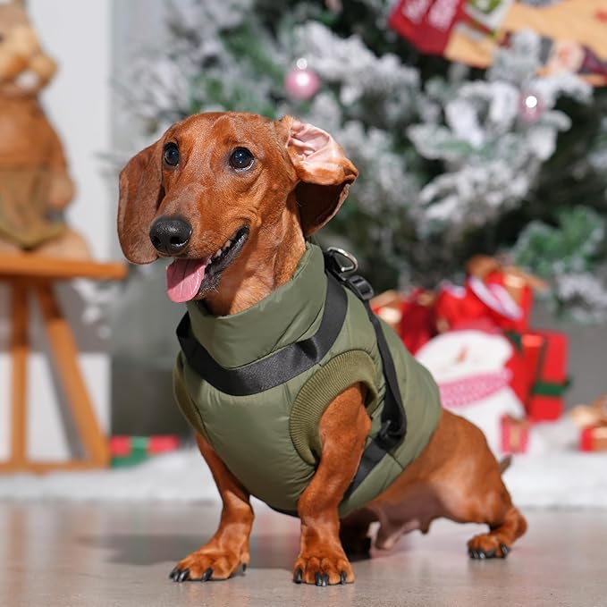 Dog Jacket with Harness,Fleece Lined Warm Puppy Coat for Winter,Soft Windproof Large Dog Vest,Green XXL