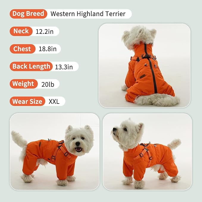 BRKURLEG Dog Raincoat for Small Dogs, Small Dog Rain Jacket with Harness Built in, Waterproof 4 Legs Pet Raincoats, Puppy Outdoor Jacket with Reflective Strip, Orange, XL