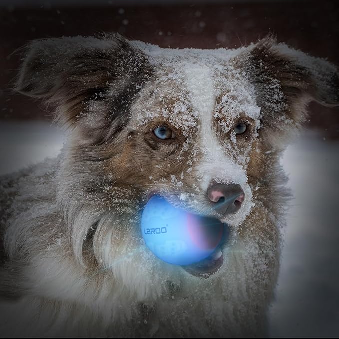 LaRoo LED Dog Ball, Dog Toys Silicon Glowing LED Dog Ball with USB Rechargeable Glow in The Dark Dog Ball Teeth Cleaner Training Ball(White)