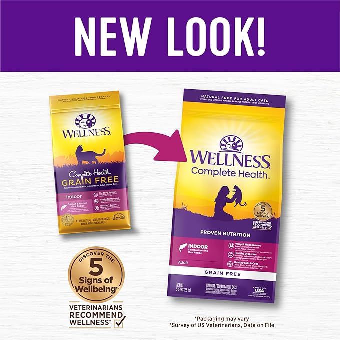 Wellness Complete Health Adult Dry Cat Food for Indoor Cats, Grain Free, Natural, Salmon and Herring Meal (5.5 Pound Bag)