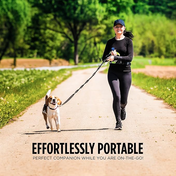 GUARD DOG SECURITY Air Horn for Dogs, Powerful Blow Air Horns training and behavior aids, Air Horn for Safety, Stops Barking, Jumping, Fighting, Chasing, Works as coyote deterrent (1 Pack w/whistle)