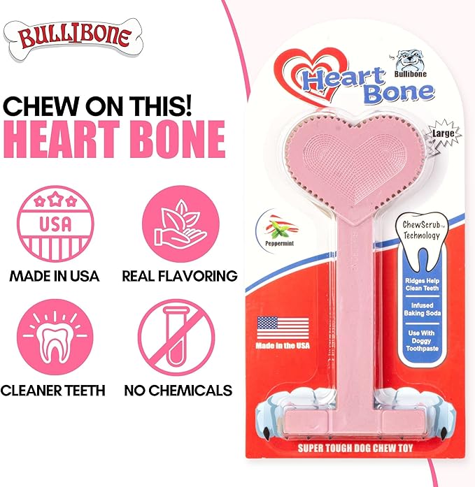 Bullibone Nylon Dog Chew Toy Nylon Bone - Improves Dental Hygiene, Easy to Grip Bottom, and Permeated with Flavor (Peppermint, Large - 3 Pack)