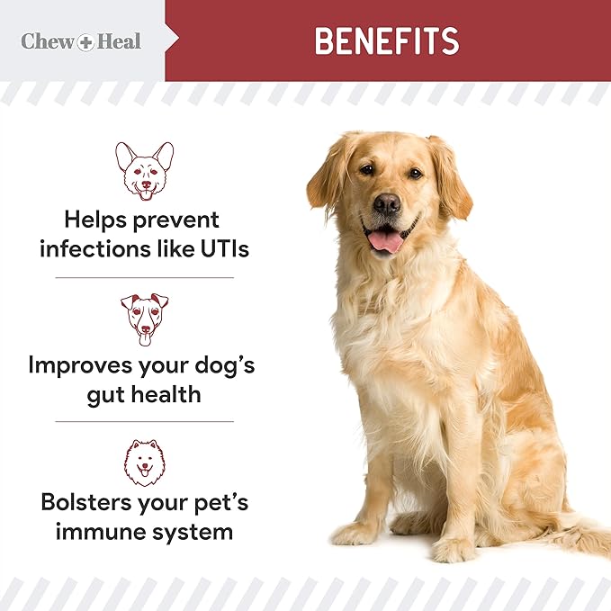 Dog UTI Treatment Cranberry Supplement for Dogs, 240 Soft Chews - Natural Urinary Tract Infection Support and Healthy Bladder Control – Made with Echinacea and Vitamin C (2 Packs of 120)
