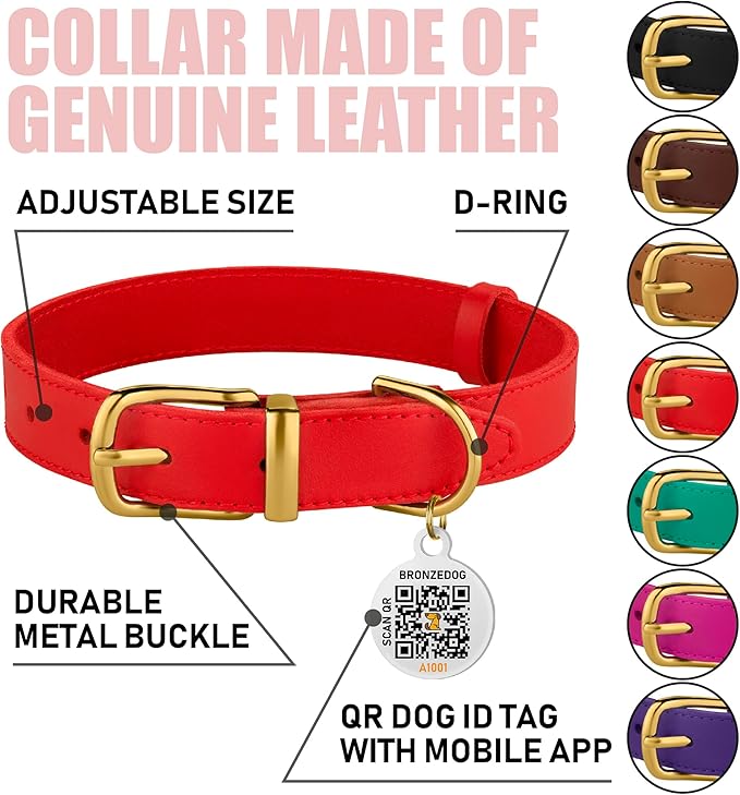 BRONZEDOG Leather Dog Collar with Metal Buckle Durable Basic Pet Collars for Small Medium Large Dogs (13-16 Inch (Pack of 1), Red & Gold Buckle)