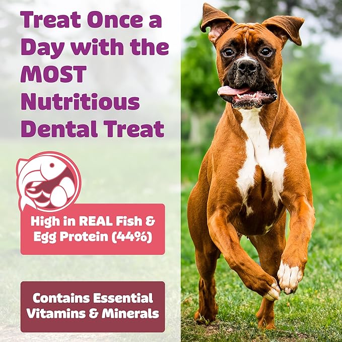 Yummy Combs Dog Dental Treats – Fish & Egg Protein – Vet VOHC Approved, Removes Tartar – A Daily Teeth Cleaning Treat for Large Dogs (15 Count)