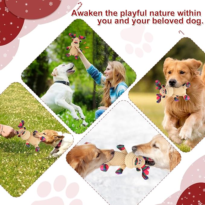 Dog Toy, Squeaky Interactive Dog Toys to Keep Them Busy for Large Small Dogs, Plush Puppy Toys, Best Gifts for Dogs.