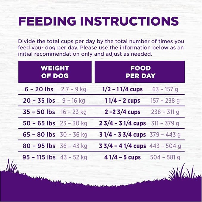 Wellness Complete Health Dry Dog Food with Grains, Made in USA with Real Meat & Natural Ingredients, All Breeds, Adult Dogs (Lamb & Barley, 30-lb) – With Nutrients for Immune, Skin, & Coat Support,