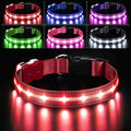 PcEoTllar Light Up Dog Collars, Led Dog Collar, Rechargeable, Night Walking, Waterproof, Glow in The Dark Dog Collars Light for Large Small Medium Dogs, Red s
