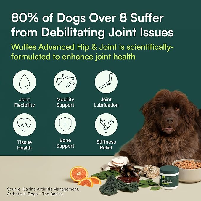 Wuffes Chewable Dog Hip & Joint Supplement - Glucosamine & Chondroitin Chews - Dog Joint Supplements & Vitamins - Extended Joint Care (Large Breed (Over 65 lbs), 90 Chews (Pack of 3))