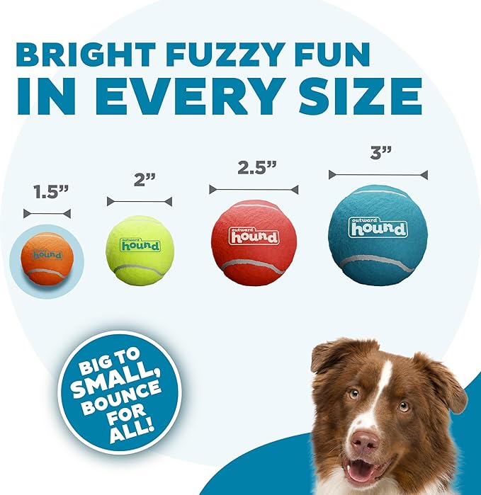 Outward Hound Squeaker Ballz 4-Pack Tennis Ball Dog Toys with Squeaker, Interactive Fetch Play for Pets Under 15 lbs, Training Balls for Indoor & Outdoor Exercise, X-Small, 1.5-inch