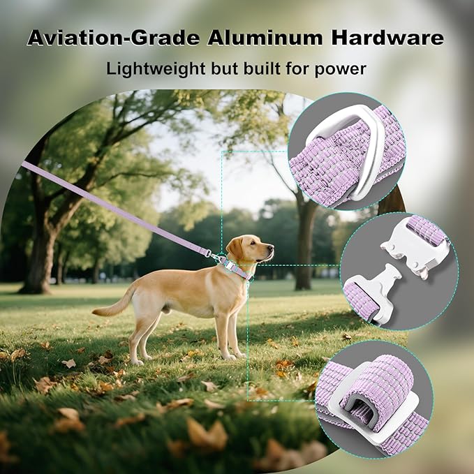 Plutus Pet Reflective Dog Collar with Aviation Aluminum Buckle, Neoprene Padded for Comfort, Lightweight, Heavy Duty Nylon Collar for Puppy Small Medium Large Dogs (Lilac Purple, S)