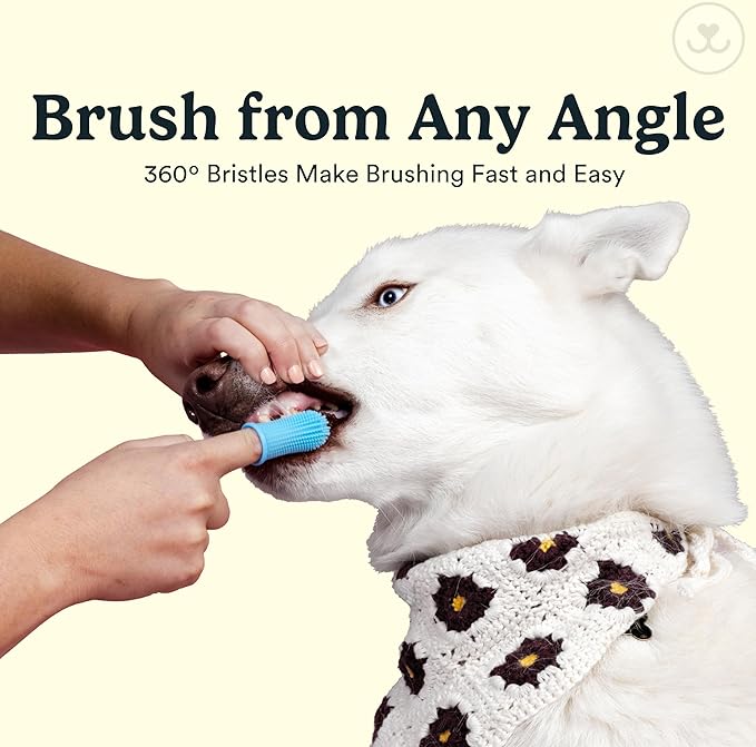 Jasper Dog Toothbrush, 360 Degree Dog Tooth Brushing Kit, Cat Toothbrush, Canine Dental Care & Teeth Cleaning Kit, Pet Finger Tooth Brush, Use with Pet Toothpaste, 4-Pack Blue